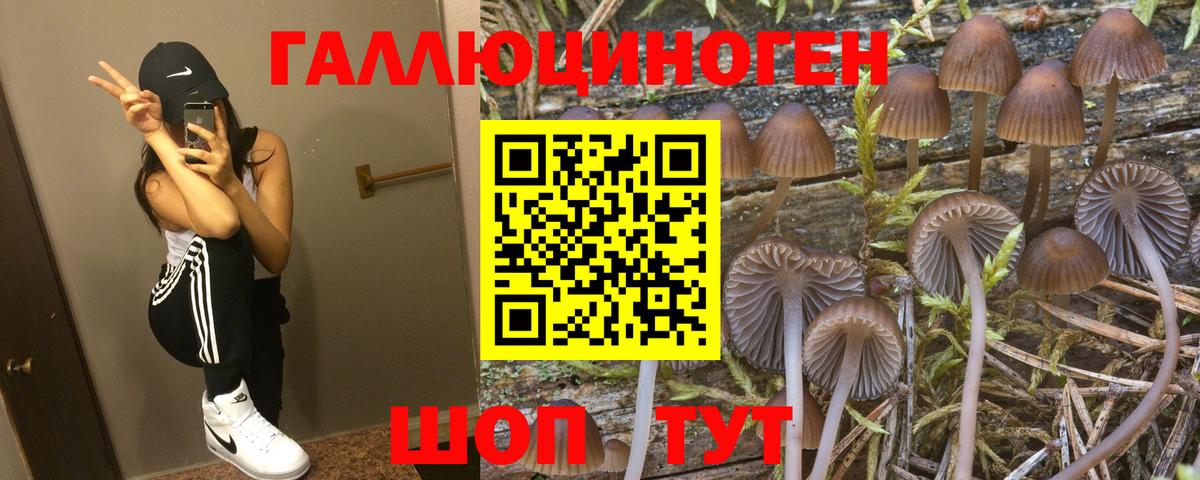 Галлюциногенные грибы мухоморы Канск