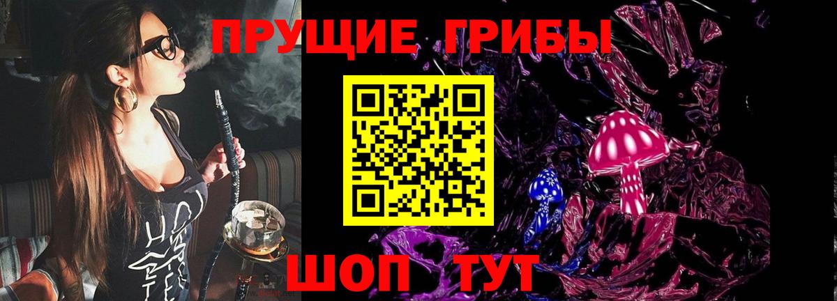 Канск  Псилоцибиновые грибы MAGIC MUSHROOMS  Вход с VPN 